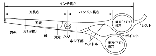 シザーズの見かた