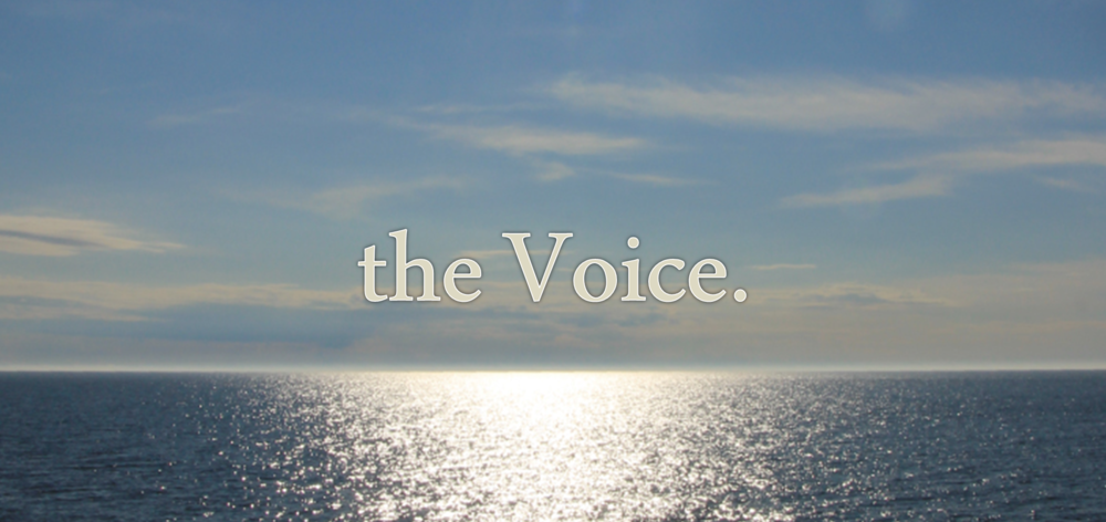 the Voice.